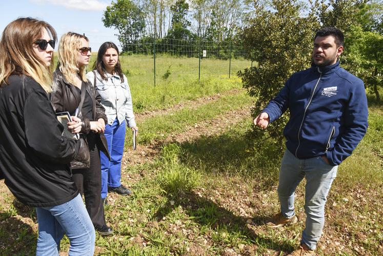 Le 16 mai, à Pruneville. Lorsque nous avons rencontré Corentin Chateigner, il recevait sur sa ferme trois étudiantes en géographie à la Sorbonne, venues étudier l'Eure-et-Loir.
