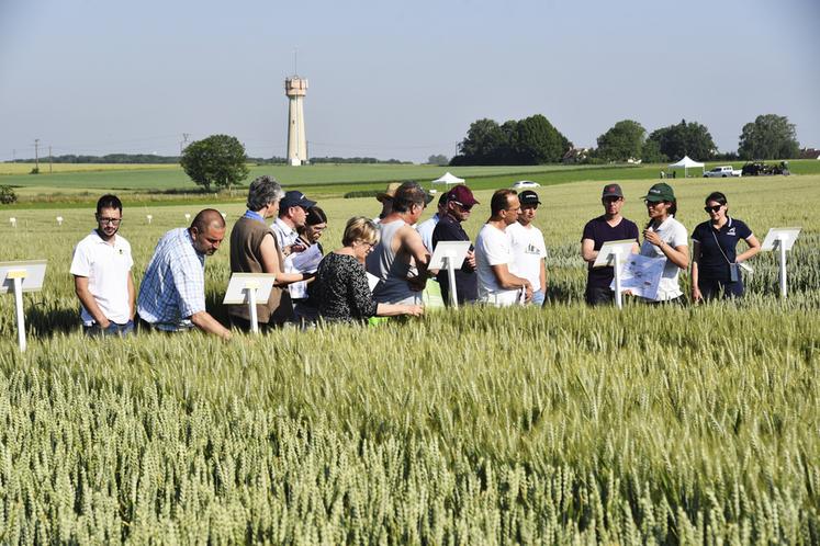 Gastins (Seine-et-Marne), jeudi 8 juin. La matinée était consacrée à la visite commentée des essais.